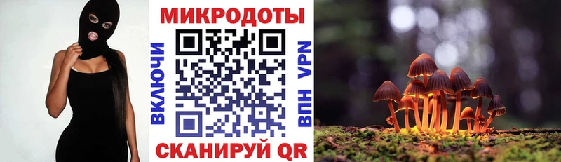 дарнет шоп  Астрахань  Галлюциногенные грибы MAGIC MUSHROOMS 
