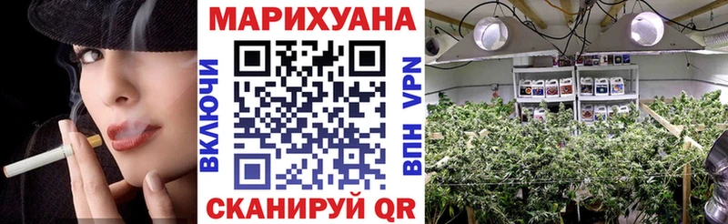 Бошки марихуана OG Kush  купить закладку  дарк нет Telegram  Астрахань 